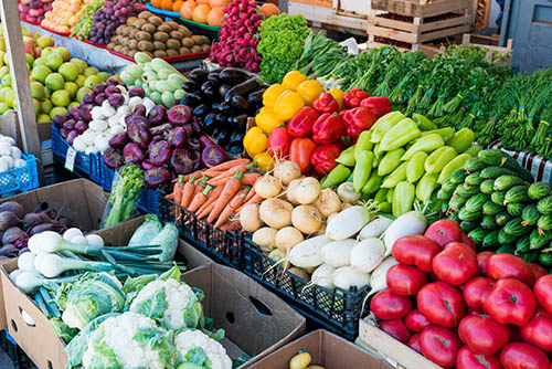 A Guide to Tampa Bay Farmers Markets - Westchase WOW